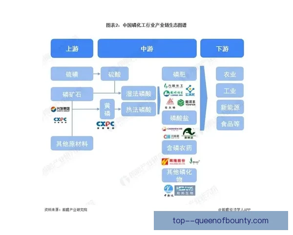 世界杯出线形势全景解析与关键变量深度前瞻指南关键走向研判策略